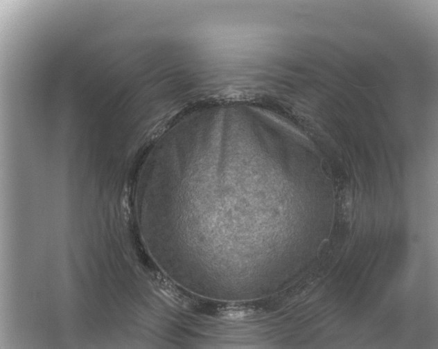 X0000066950746200604071938