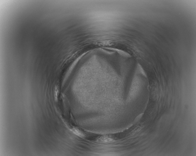 X0000066950747200604071938