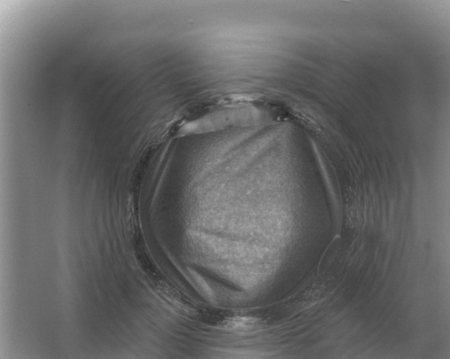 X0000066950748200604071938