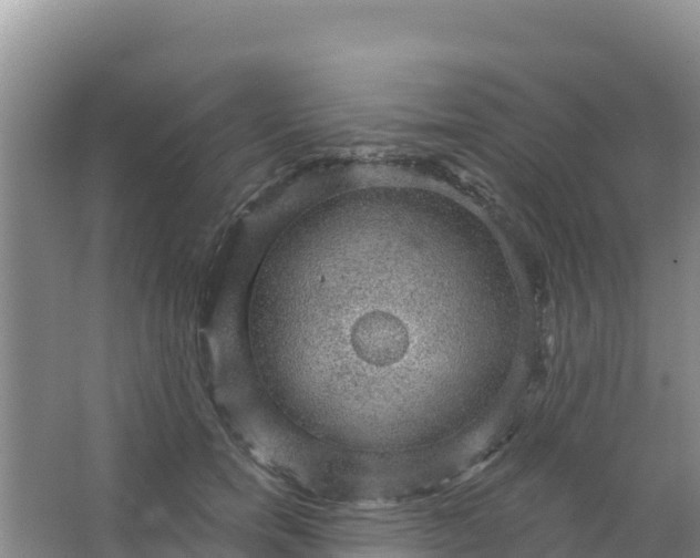 X0000066950750200604071938