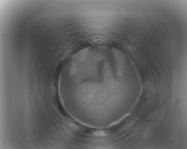 X0000066950751200604071938