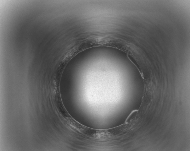 X0000066950752200604071938