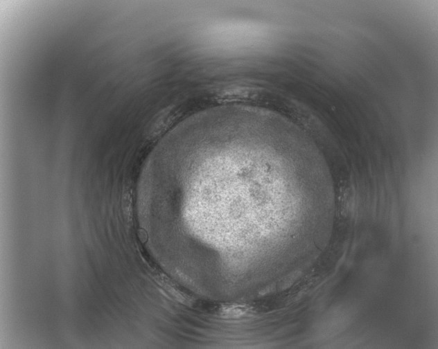 X0000066950753200604071938