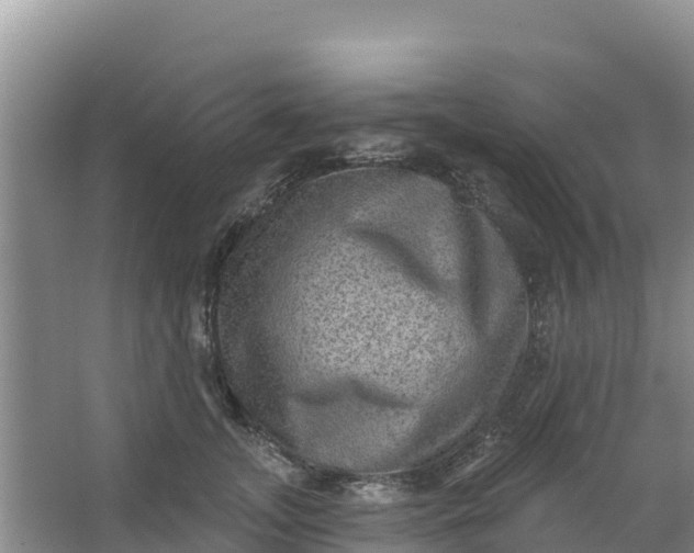 X0000066950755200604071938