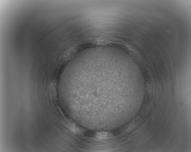 X0000066950757200604071938