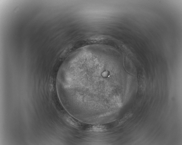 X0000066950758200604071938