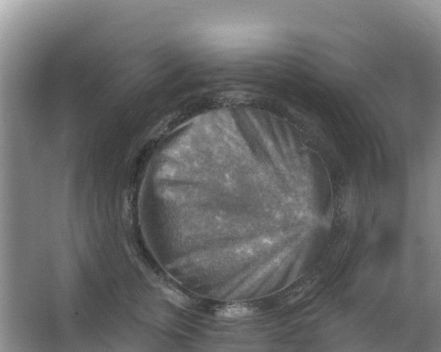 X0000066950759200604071938