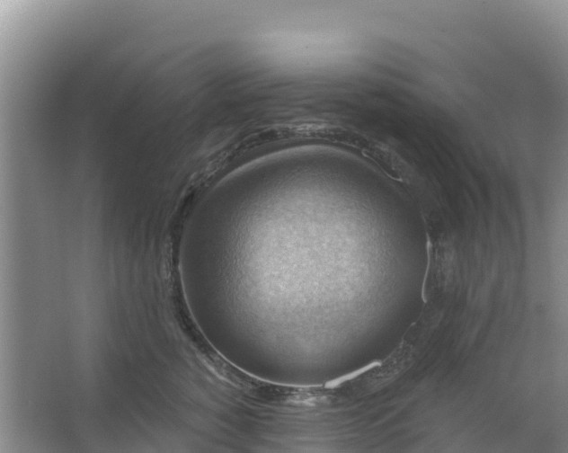 X0000066950760200604071938