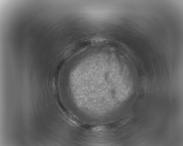 X0000066950761200604071938