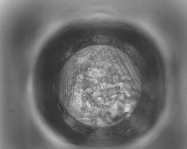 X0000066950765200604071938