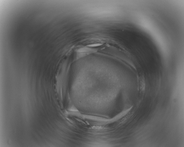 X0000066950766200604071938