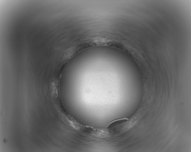 X0000066950768200604071938