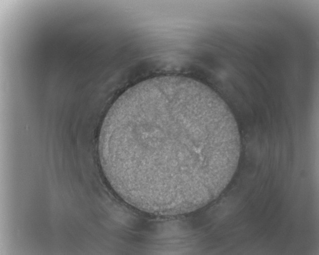 X0000066950769200604071937