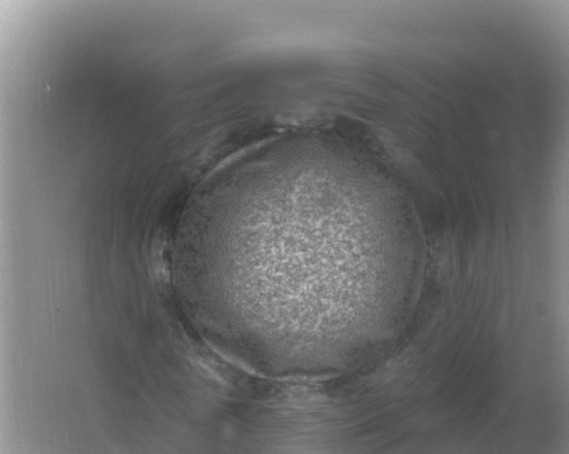 X0000066950770200604071937