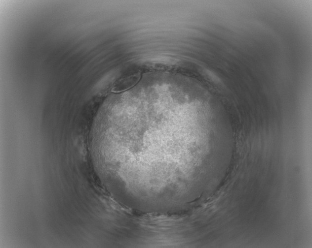 X0000066950774200604071937