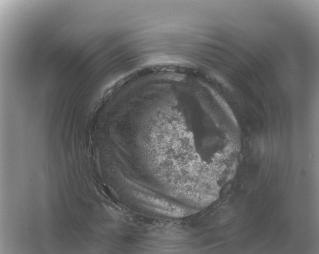 X0000066950775200604071937