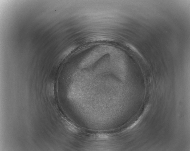 X0000066950777200604071937