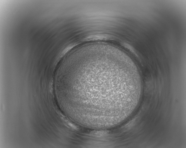 X0000066950778200604071937