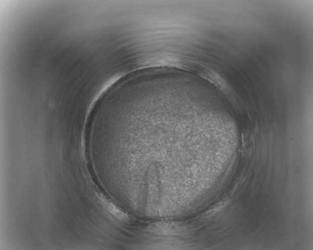 X0000066950780200604071937