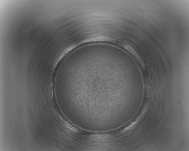 X0000066950781200604071937