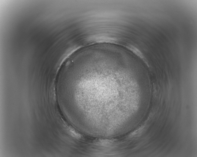 X0000066950782200604071937