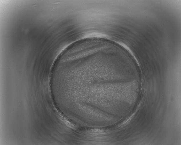 X0000066950783200604071937