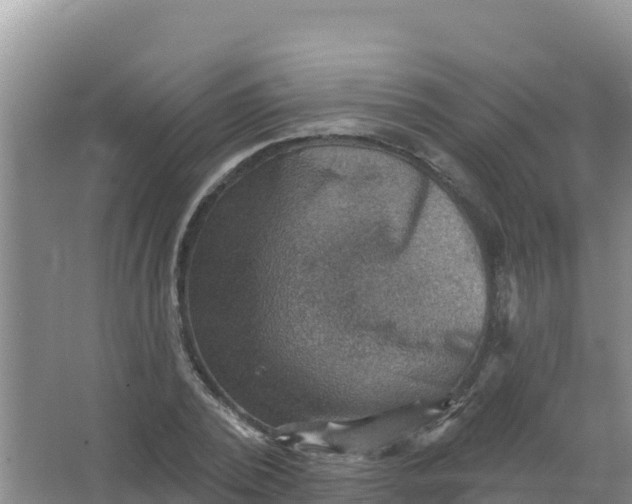 X0000066950784200604071937