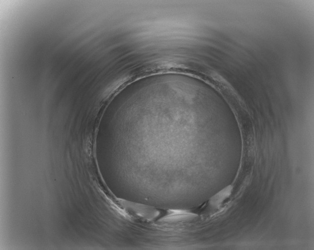 X0000066950785200604071937