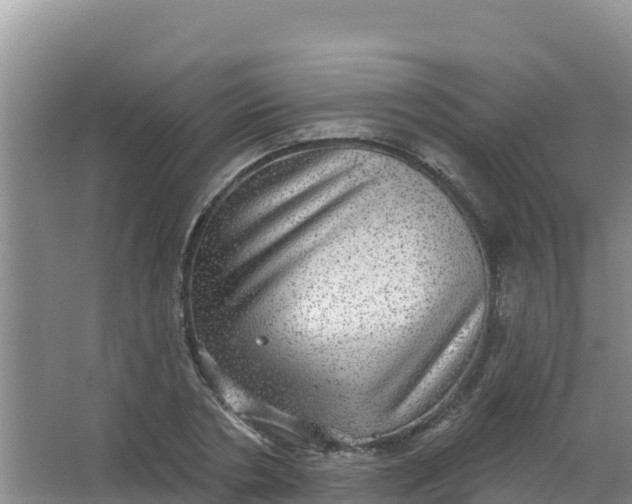 X0000066950786200604071937