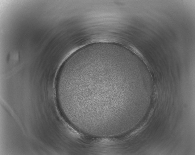 X0000066950787200604071937