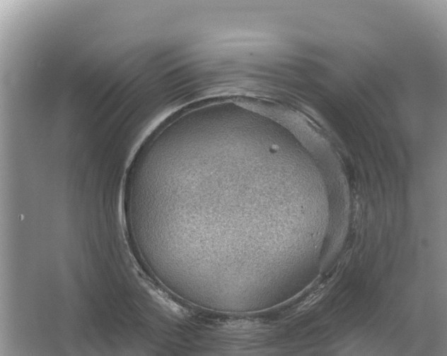 X0000066950788200604071937