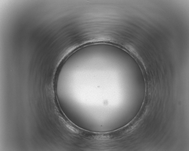 X0000066950789200604071937