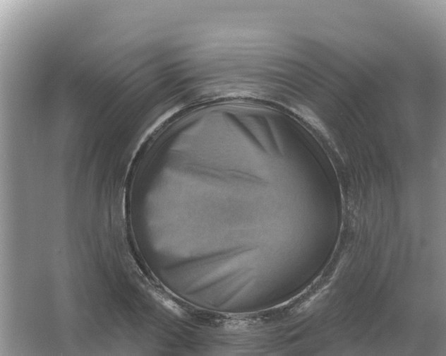 X0000066950790200604071937