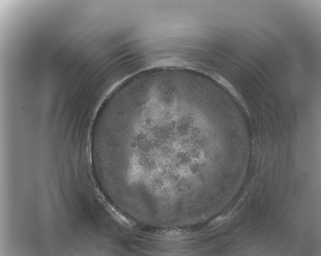 X0000066950791200604071937