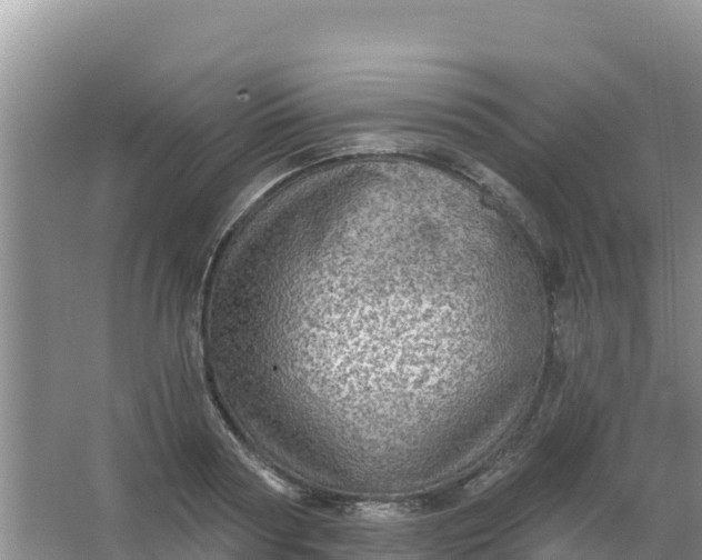 X0000066950794200604071937