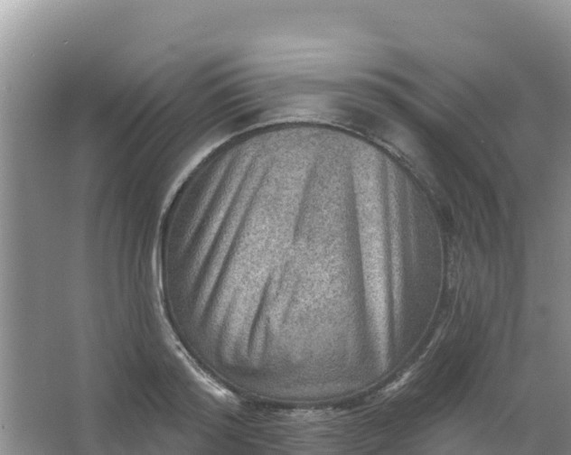 X0000066950796200604071937