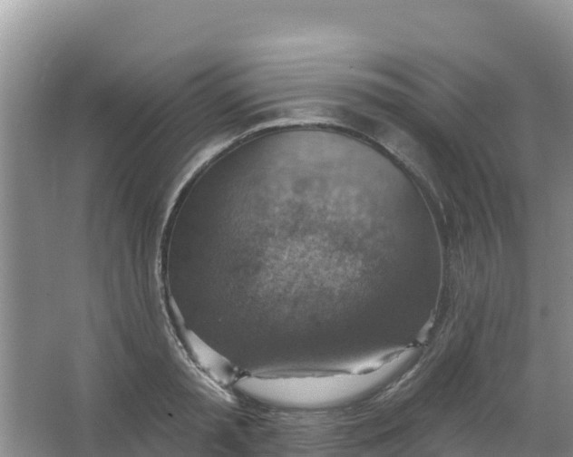 X0000066950797200604071937