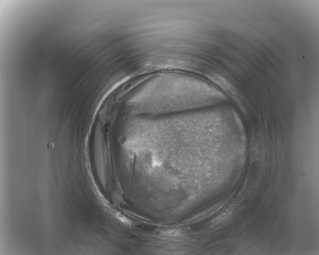 X0000066950798200604071937