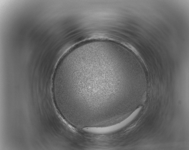 X0000066950799200604071937