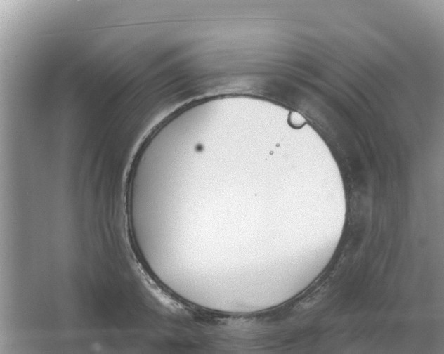 X0000066950800200604071937