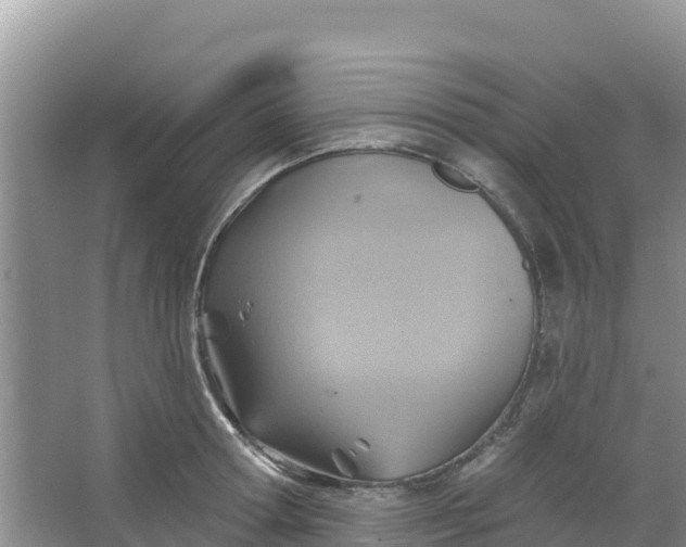 X0000066950802200604071937