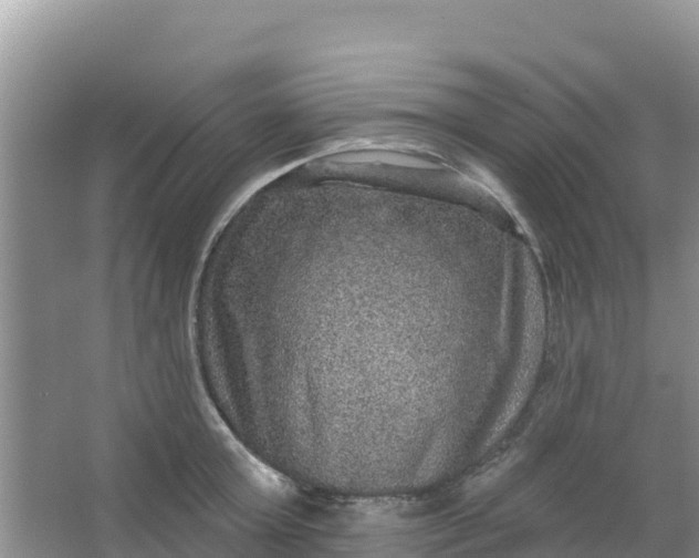 X0000066950803200604071937