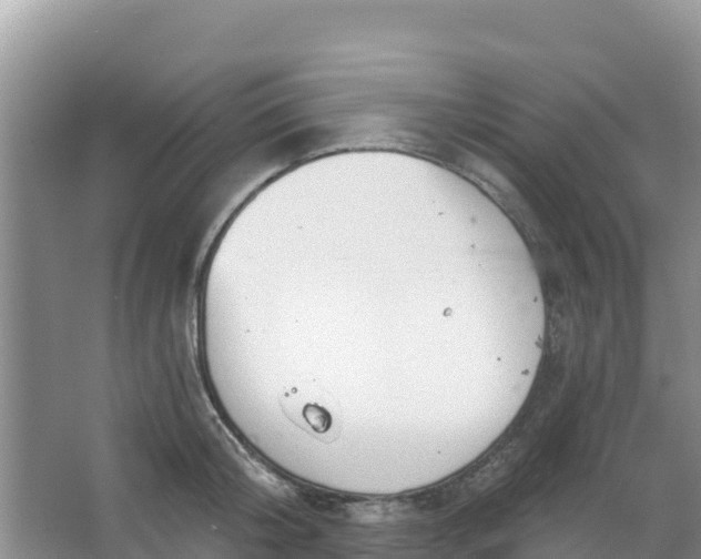 X0000066950804200604071937