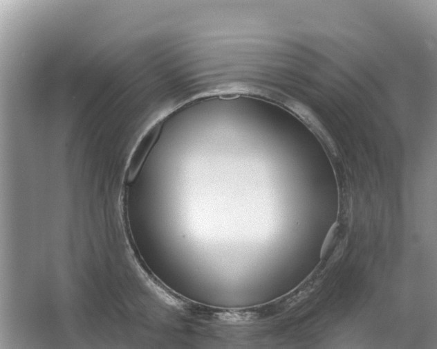 X0000066950805200604071937