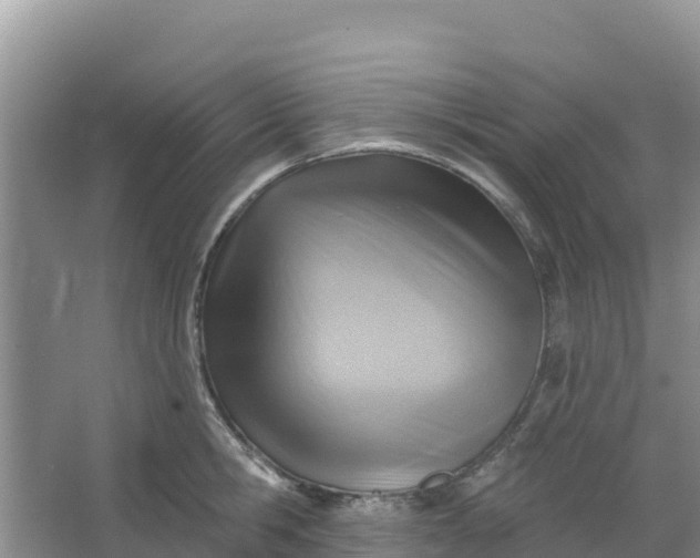 X0000066950806200604071937