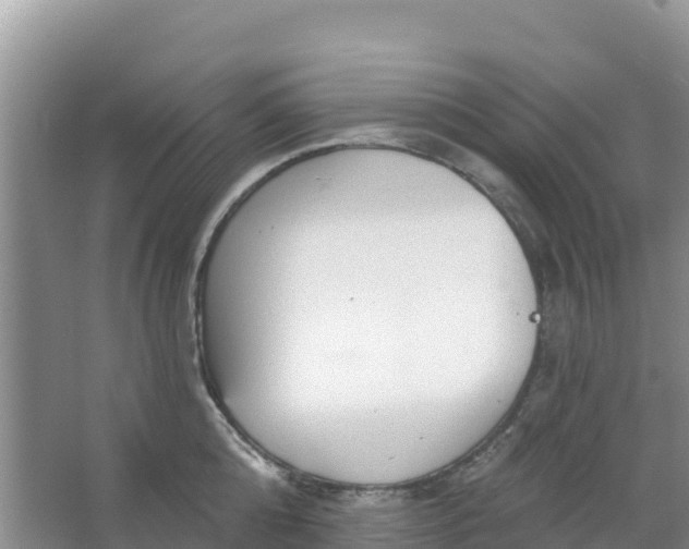 X0000066950808200604071937