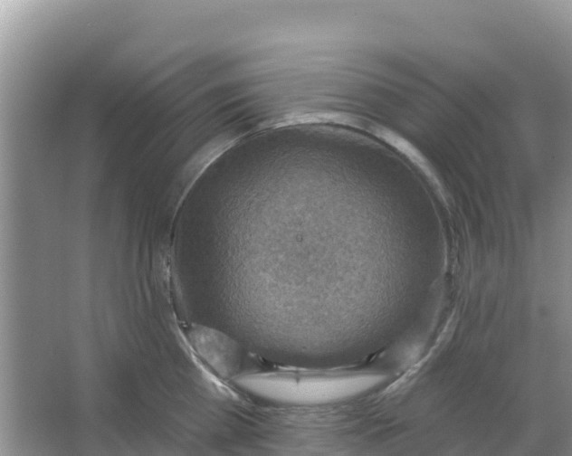 X0000066950809200604071937