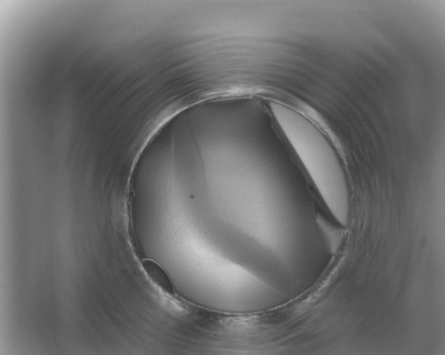 X0000066950810200604071937