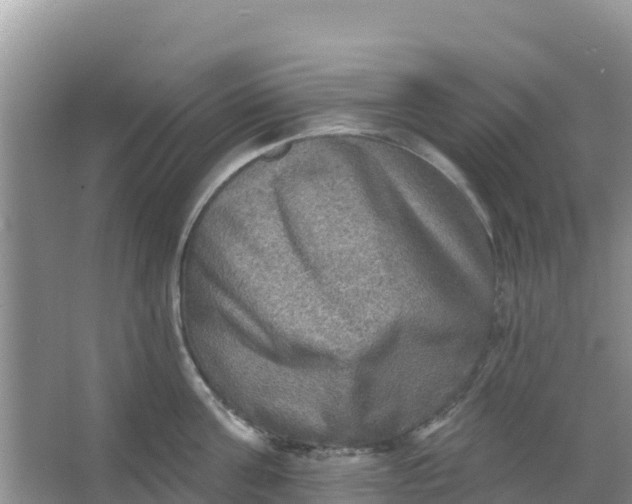 X0000066950811200604071937