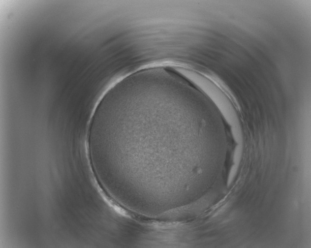 X0000066950813200604071937